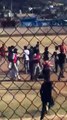 VIDEO: Jugadores y porra protagonizan pelea durante juego de beisbol