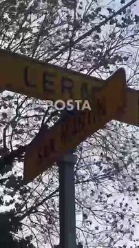 Catean clínica en Mitras tras muerte de hombre por operación de manga gástrica