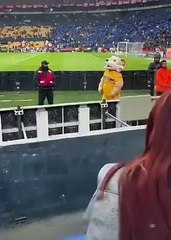 VIDEO: Captan a la mascota de Tigres haciendo seña obscena; el club investigará