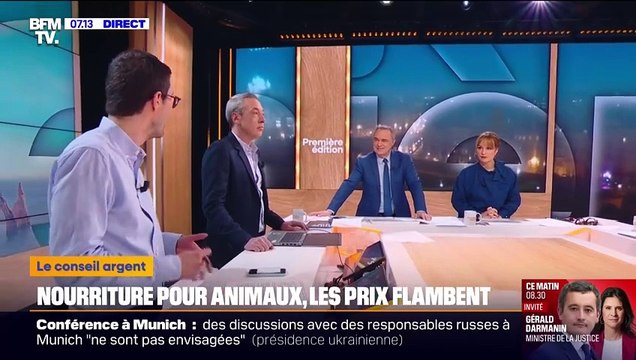 Animaux de compagnie : une application pour vous aider à faire des économie sur les achats de croquettes