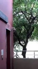 Ignoran espacios para personas con discapacidad en la estación Félix U. Gómez