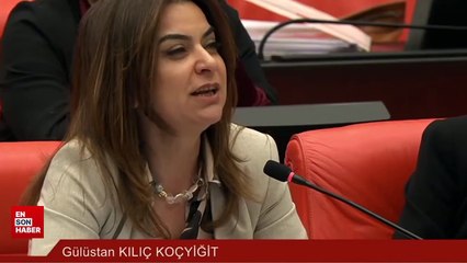 TBMM'de Kürtçe gerilimi: İyi Parti ve DEM'li vekiller tartıştı