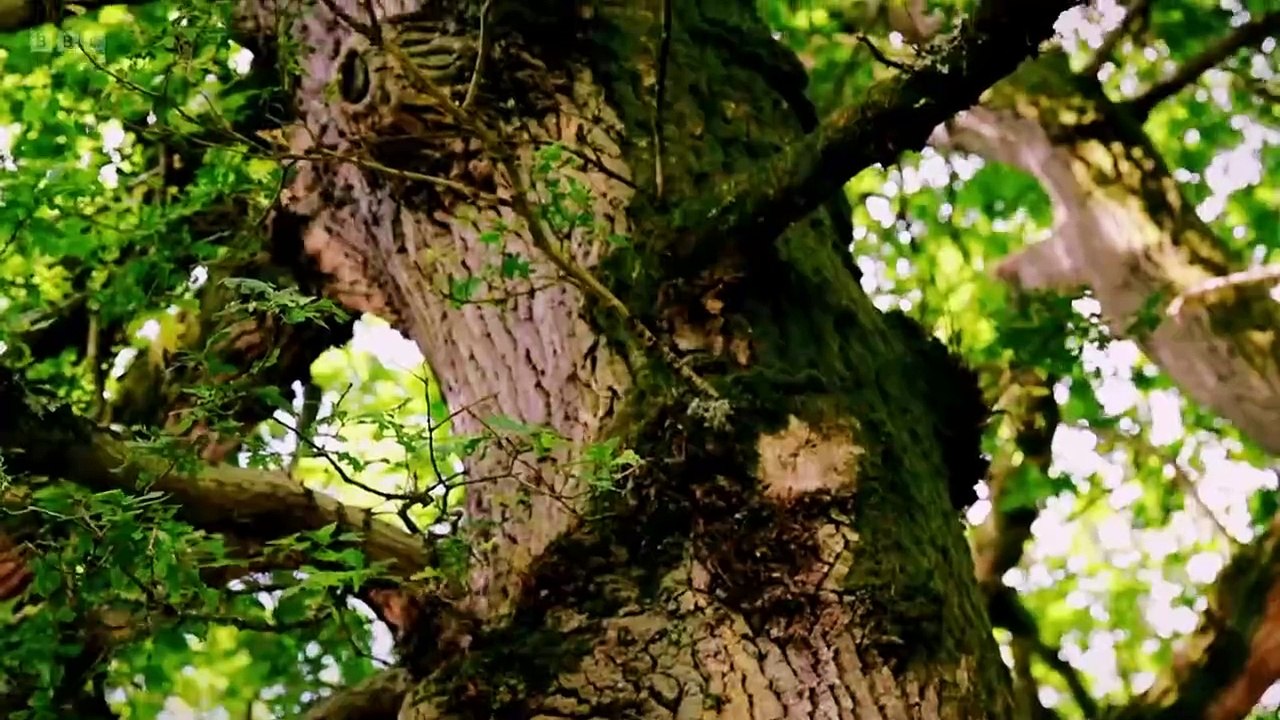 All Roads Lead Home episode 1