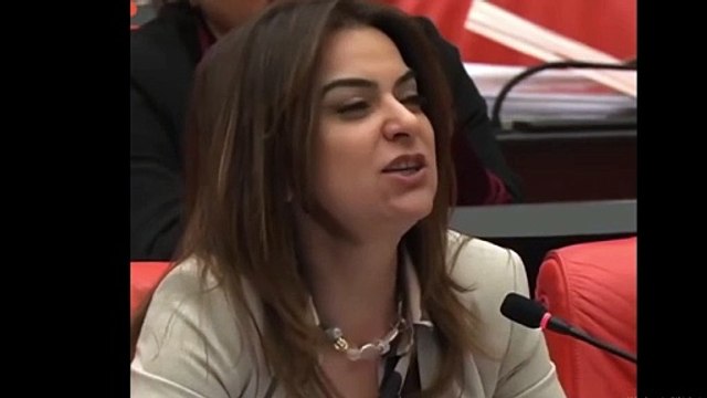 İYİ Partili Türkeş'in 'Kürtçe dil değildir' iddiası: DEM Partili Koçyiğit, Türkçe olimpiyatlarını hatırlattı