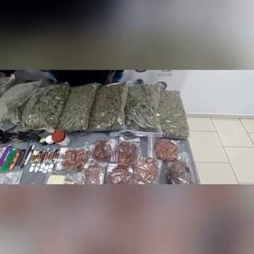 Asegura FGR narcóticos en una empresa de paquetería en Santa Catarina