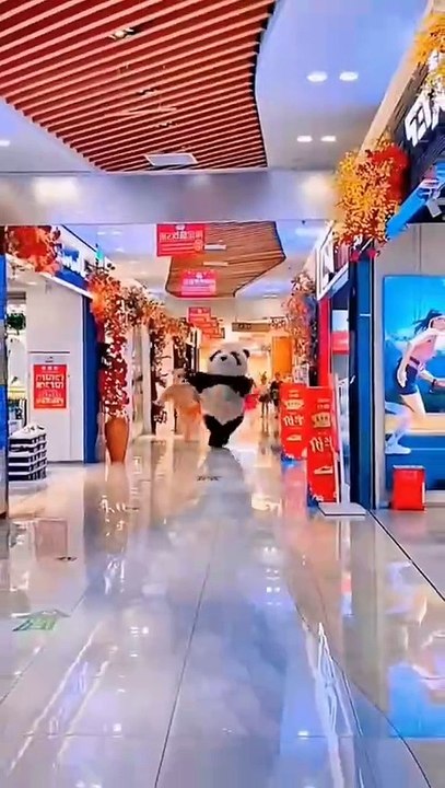 #funnyvideos #funny #shorts #funnyanimals #comedyvideo #comedy #lucu #fyp #foryou #pandalovers