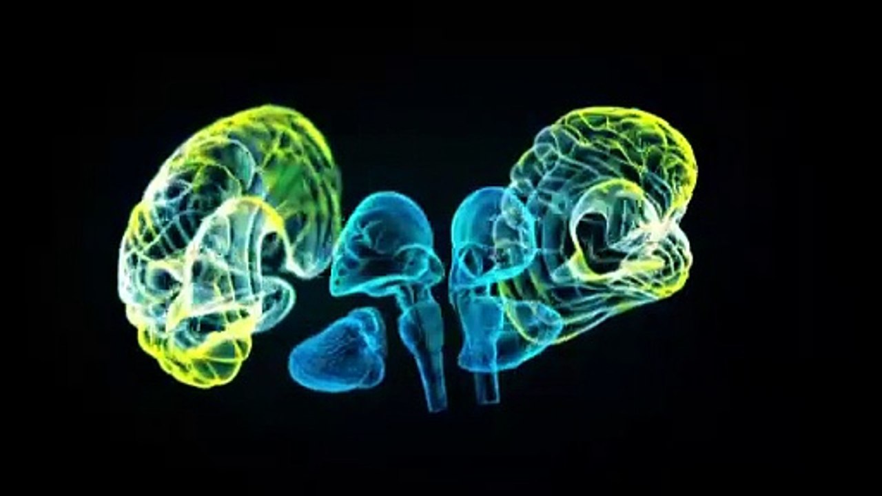 Videografik: Liebesrausch – ein biochemischer Cocktail