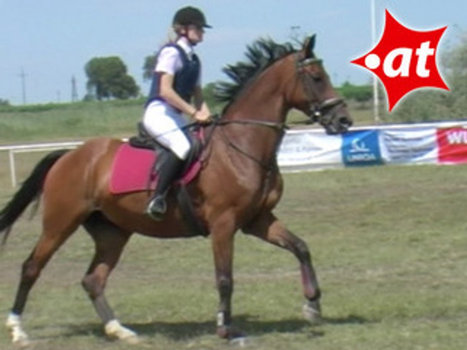 Viktoria Lang, Springreiten, Burgenland (2007-044)