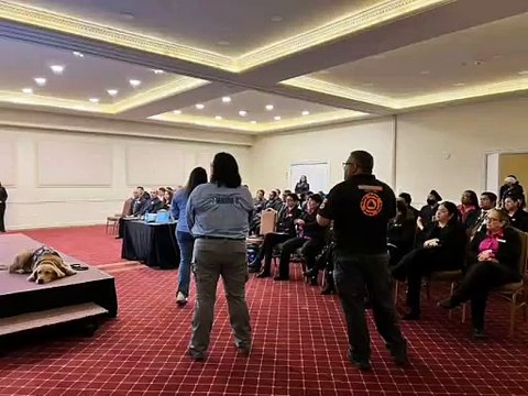 Hotel Safi: empleados reciben capacitación tras discriminación con perro guía