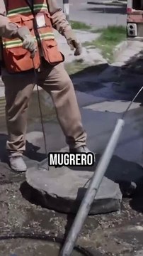15 cosas que no debes tirar al sanitario para evitar que el drenaje colapse