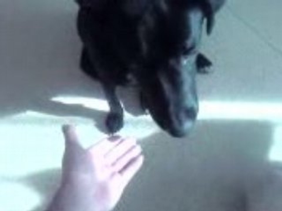 shadow