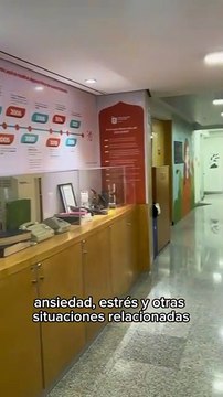 Diciembre el mes en el que el 070 recibe más llamadas para atención psicológica