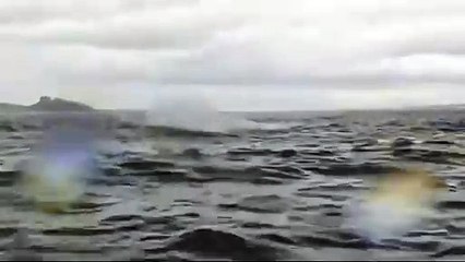 "Pensei que tinha morrido". Jovem \'engolido\' por baleia sai ileso