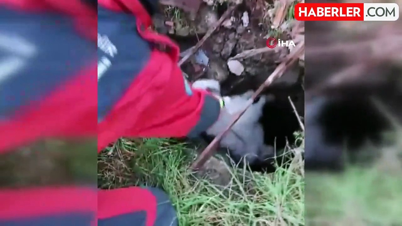 Kuyuya Düşen Keçi İtfaiye Ekipleri Tarafından Kurtarıldı