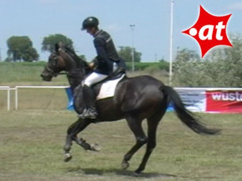 Kevin Kazda, Springreiten, Burgenland (2007-045)