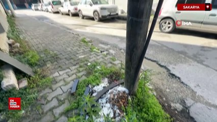 Sakarya'da direklere yazı astı: Çöp çöpe atılır lan ayı