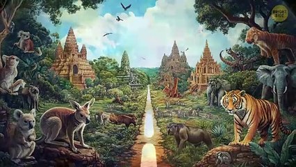 No Animals Ever Pass This Invisible Border, Here's Why