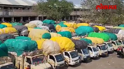 यवतमाळमध्ये कापूस खरेदी ठप्प शेतकरी अडचणीत प्रशासन गप्प