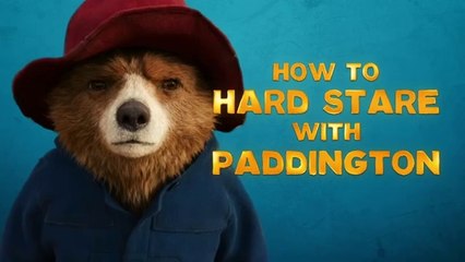 PADDINGTON IN PERU - Hard Stare 101