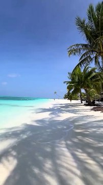 Une balade inoubliable sur les plages des Maldives 🌴