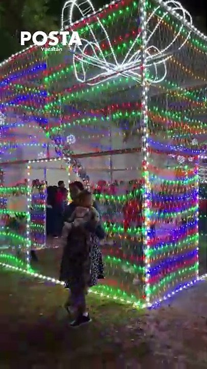 Navidad en Mérida: Cecilia Patrón enciende el árbol en el Remate de Paseo de Montejo