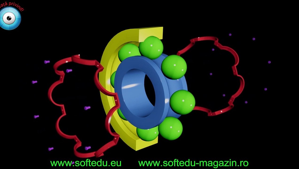 Soft educational mecanica. Rulment Radial