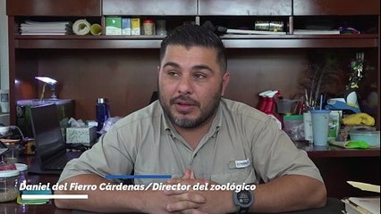 Más de 90 nacimientos en el Zoológico de Nuevo Laredo refuerzan la conservación animal