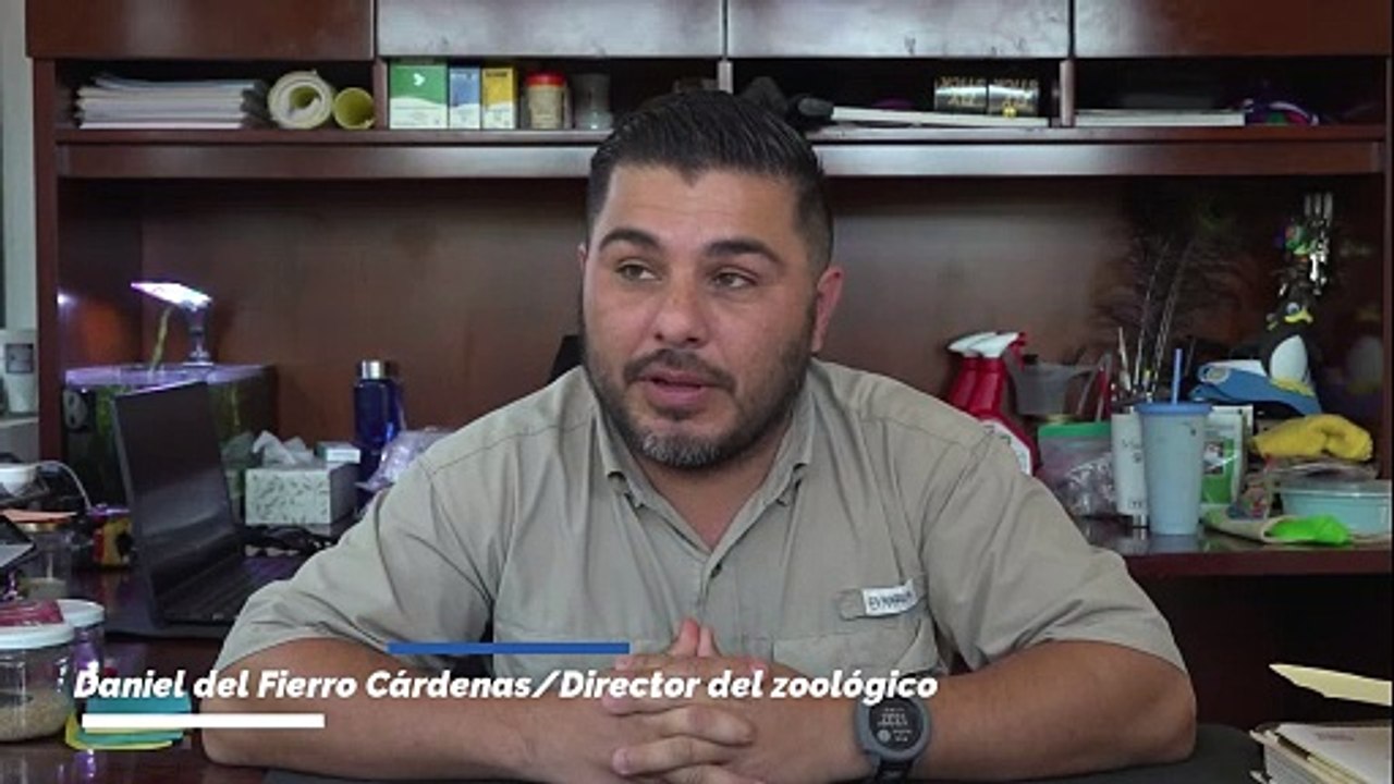 Más de 90 nacimientos en el Zoológico de Nuevo Laredo refuerzan la conservación animal