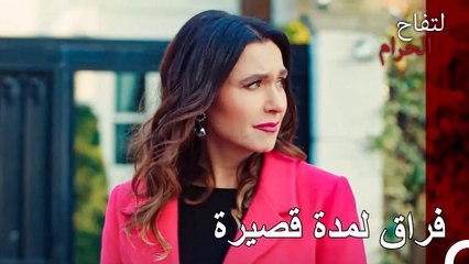 ذهبت اندر لوداع اريم - التفاح الحرام الحلقة ال 102