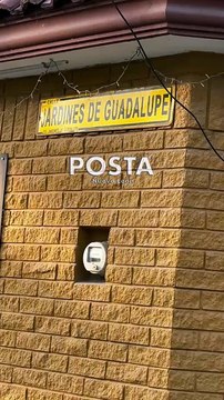 Hallazgo de restos humanos en lote baldío de Guadalupe