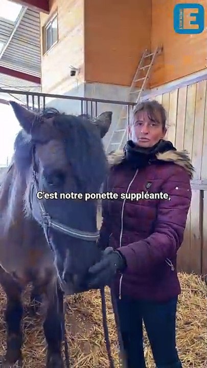 L’Aubois Jupiter Roque se prépare pour concourir au Salon de l’Agriculture de Paris