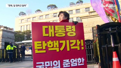 與, 헌재 앞 피켓 시위…“답 정하고 달려가”