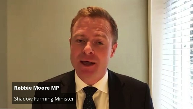 Tories accuse Reeves of lying on CV and hiding expenses