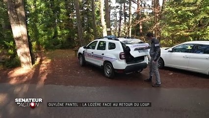 Sénateur en action - Guylène Pantel, la Lozère face au retour du loup