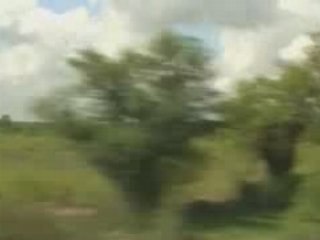 THEMOVIEOFTHEYEAR 23 avril