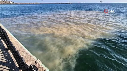 Tekirdağ sahilinde denizin rengi değişti