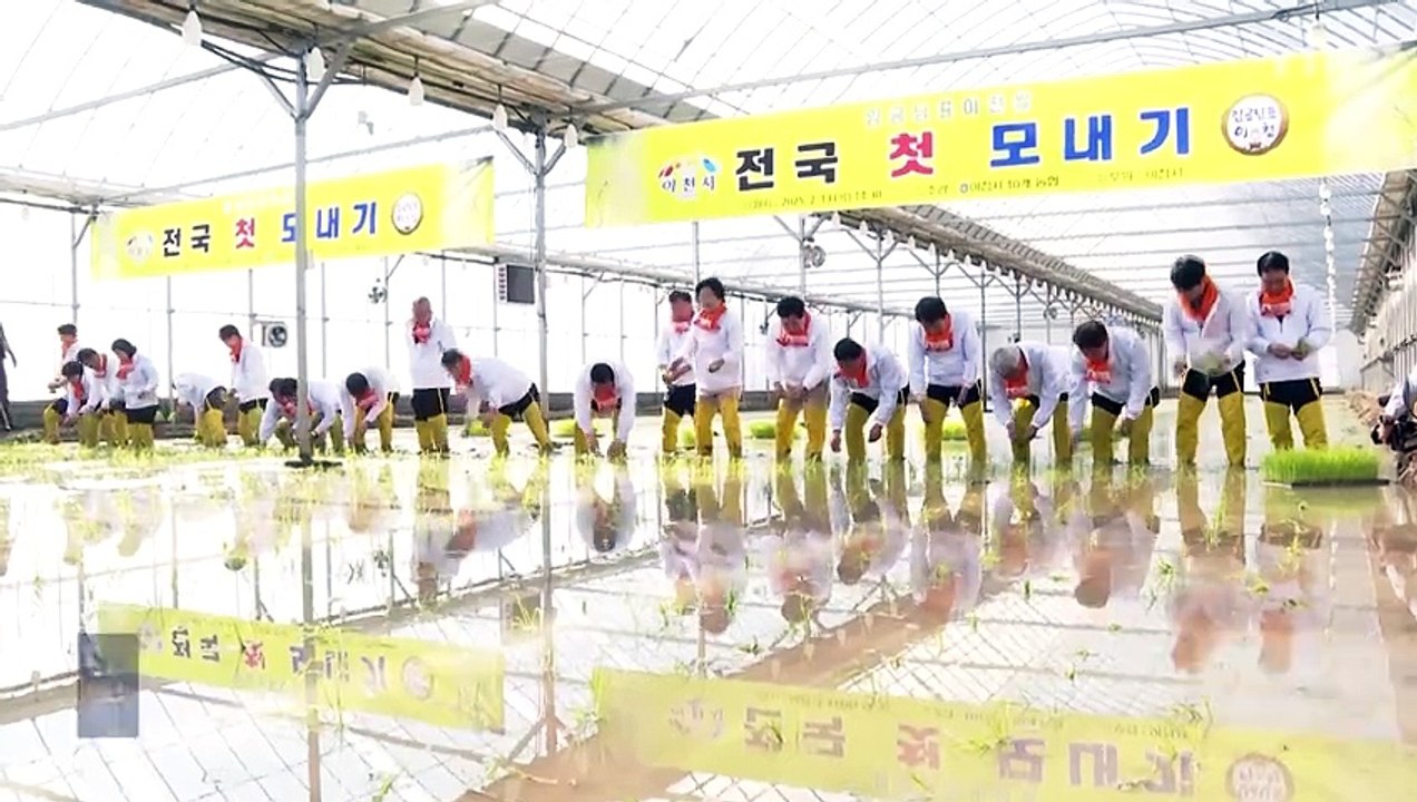 [경기] 이천, 전국 첫 모내기...6월 수확 예상 / YTN