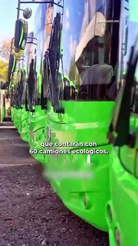 Transporte en Nuevo León: conoce las 5 nuevas rutas de los camiones ecológicos