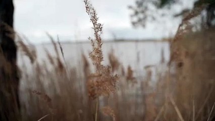 ¿Qué clima se espera para Tamaulipas hoy?
