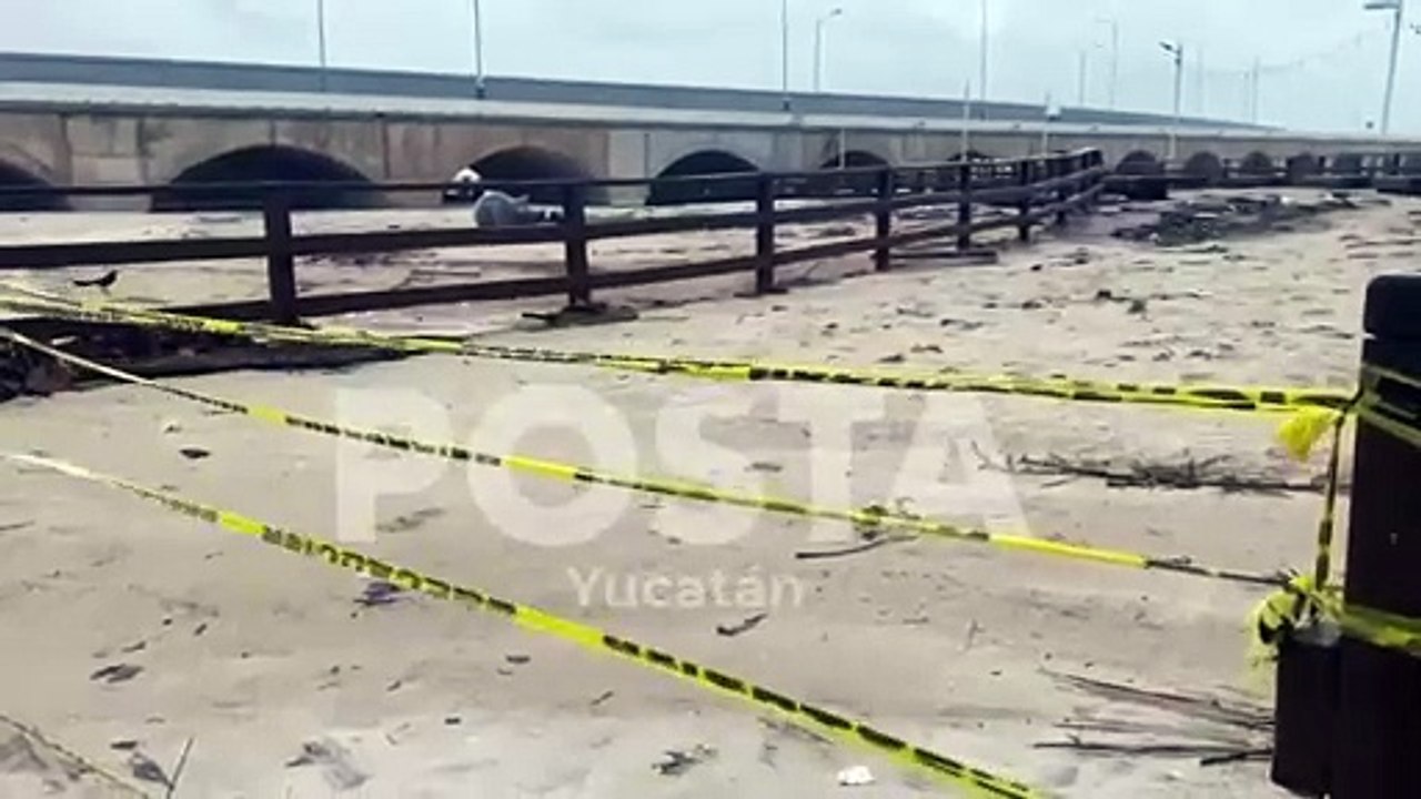 Turistas y locales se arriesgan para ver los daños de Milton en Progreso