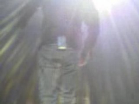 Cali au zénith de Paris le 15 avril 2008 (L)