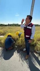 Manuel Guerra supervisa rehabilitación de espacios públicos en Los Encinos