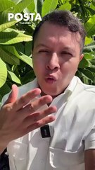 Vecinos reportan una fuente en medio de la calle al sur de Mérida