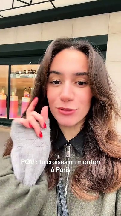 Un mouton en laisse et couche-culotte vu dans le métro parisien