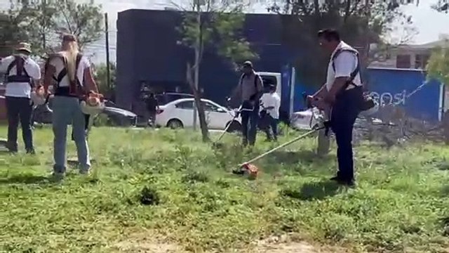 Busca Santa Catarina prevenir brotes de dengue; Checa aquí las recomendaciones