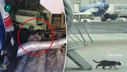 Cat Highjack A Plane Drama : Germany का Boeing 737 Hijack, अटकी लोगों की साँसे | वनइंडिया हिन्दी