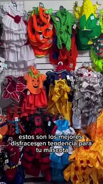 Halloween: estos son los mejores disfraces para tus mascotas