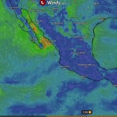 Sigue aquí las últimas actualizaciones sobre la Tormenta Ileana