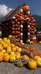 The Pumpkin Dash llega a Monterrey por Halloween y esto es lo que debes saber