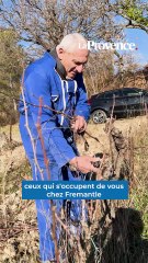 L'Amour est dans le pré : Thierry, candidat emblématique de l'émission revient sur son expérience